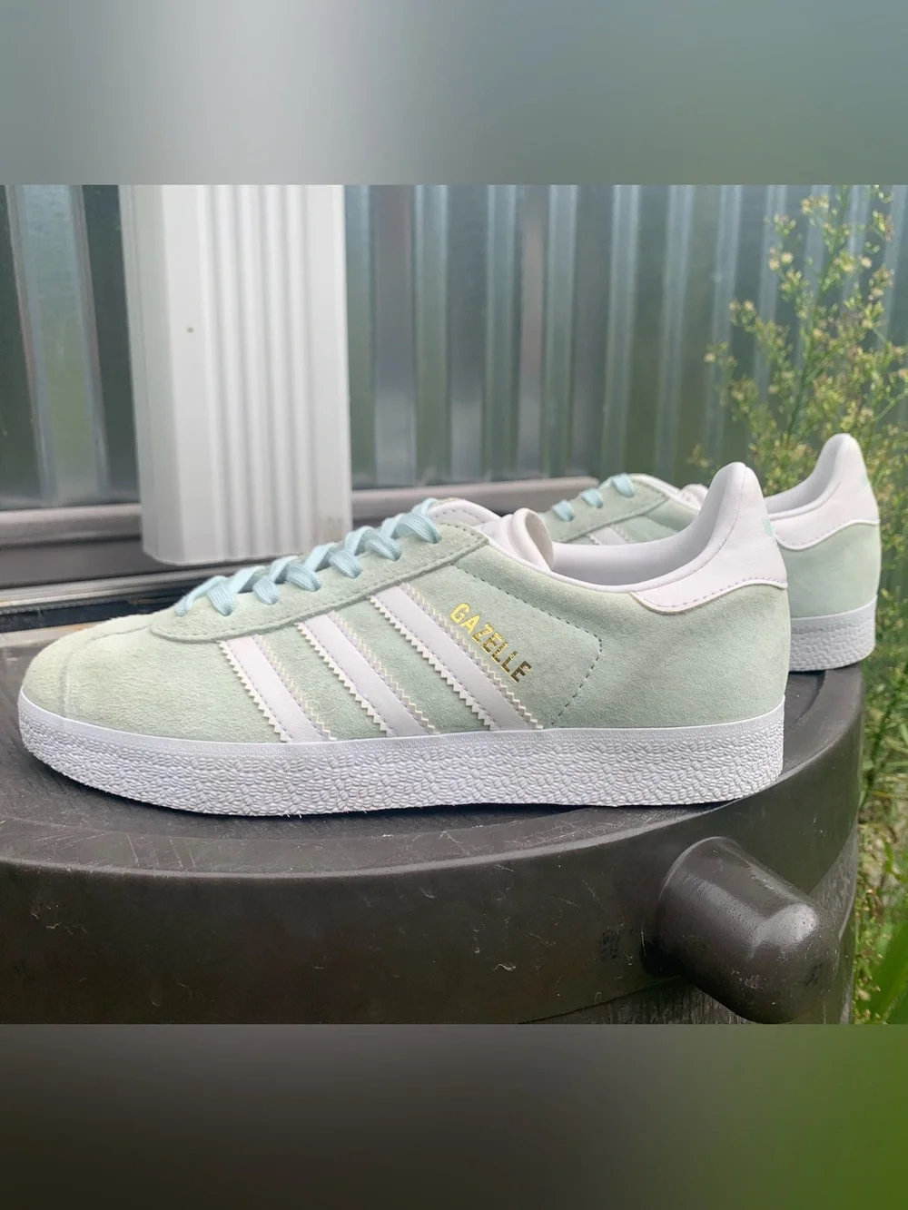 adidas low top
